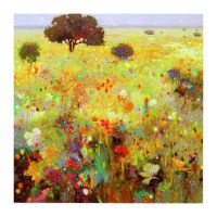 Amanecer de luz (Campos de Castilla, España)  